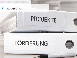 Link: Förderung Link: Förderung